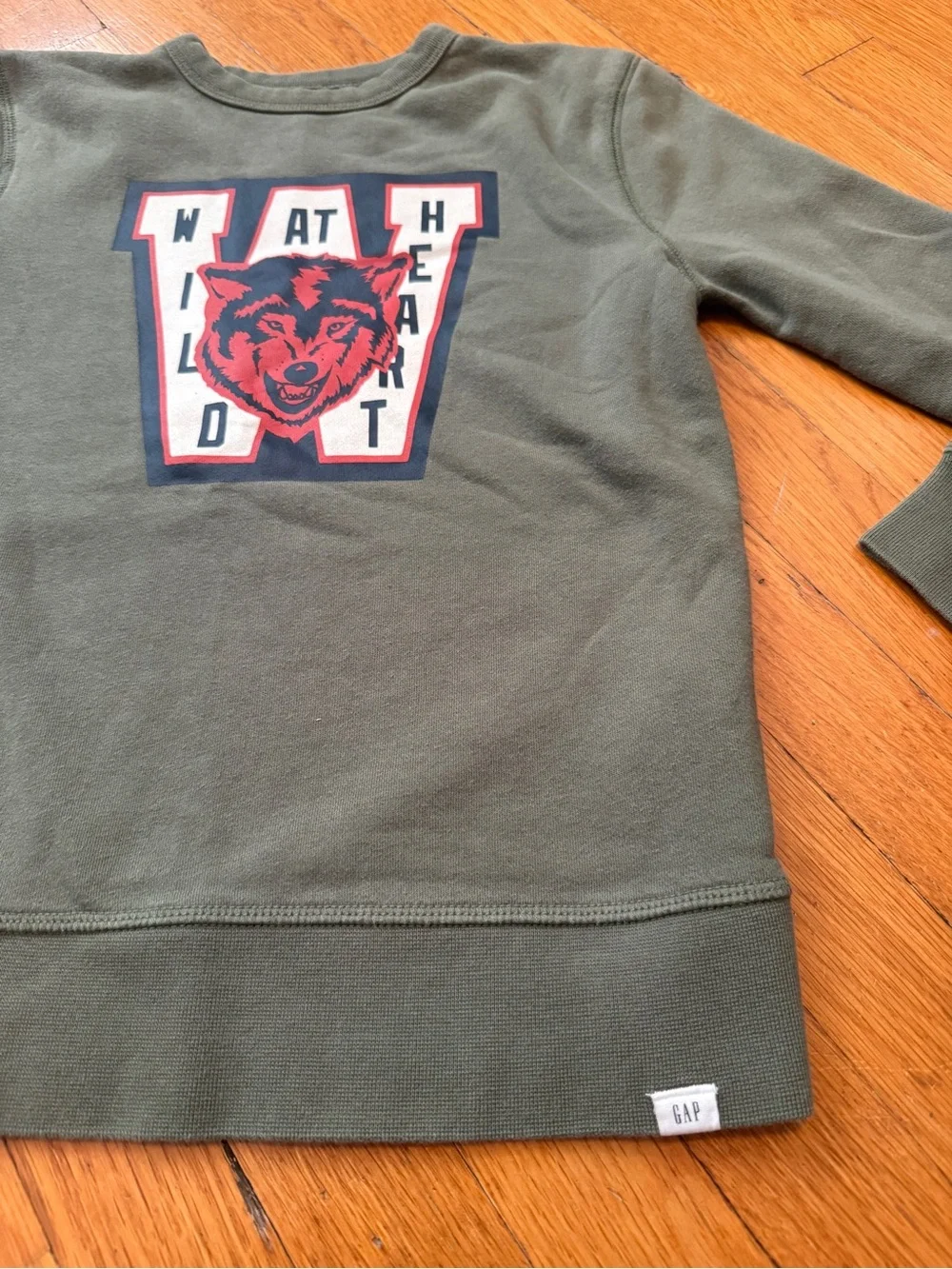 Gap kids green pullover wolf sweatshirt size medium (8)